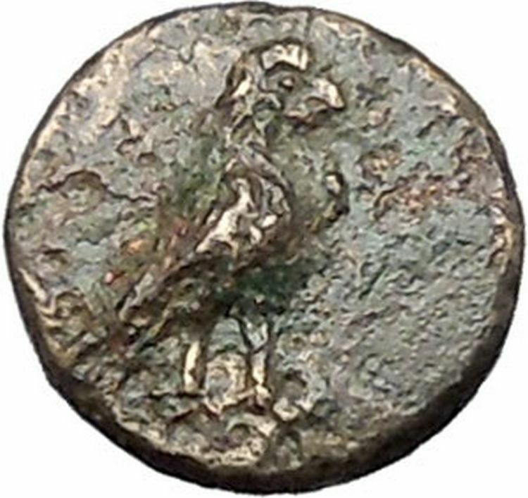 Kyme in Aeolis 350BC EAGLE & VASE on Authentic Ancient Greek Coin i49492