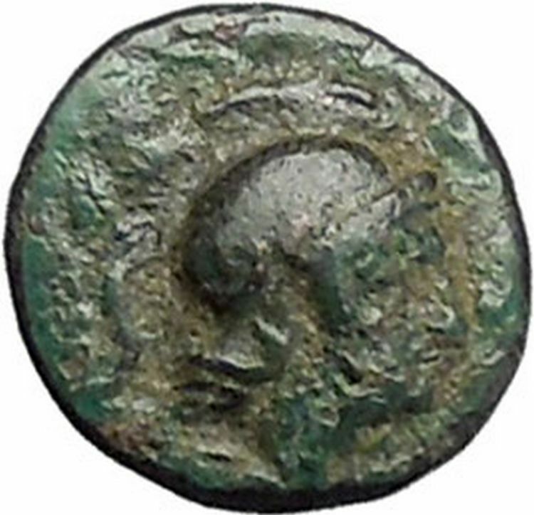 PERGAMON in MYSIA 310BC Hecules Athena Authentic Ancient Greek Coin i49497