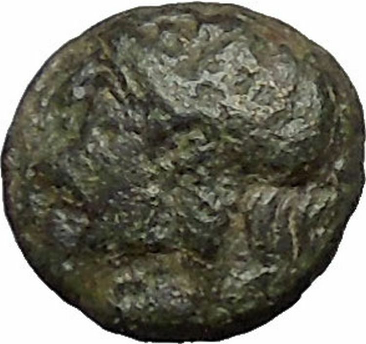 Elaia in Aiolis 340BC Authentic Ancient Greek Coin Athena Corn-grain i49547