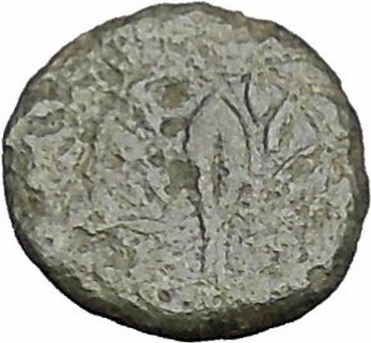 Elaia in Aiolis 340BC Authentic Ancient Greek Coin Athena Corn-grain i49547