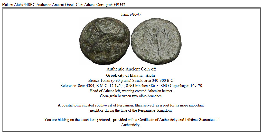 Elaia in Aiolis 340BC Authentic Ancient Greek Coin Athena Corn-grain i49547