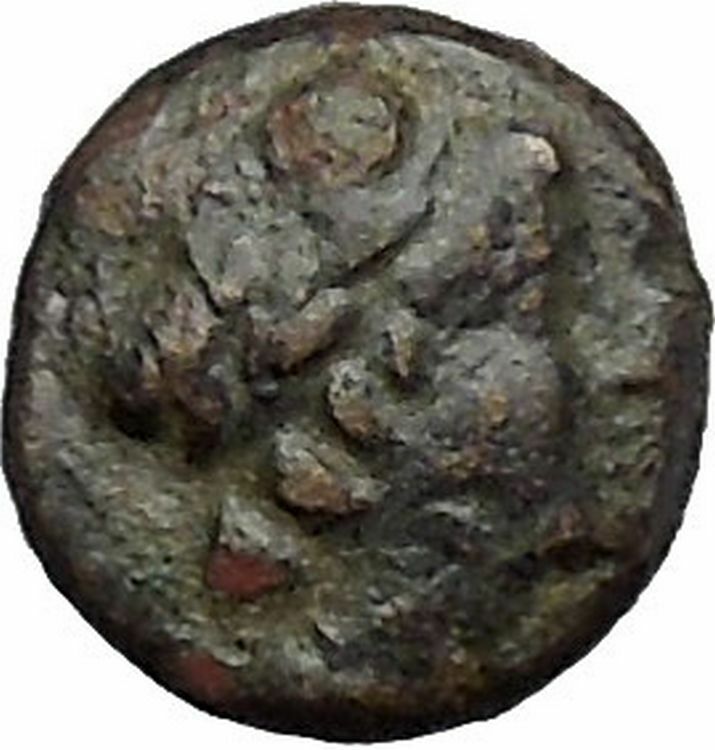 Antiochos III, Megas Authentic Rare Ancient Greek Coin APOLLO Cult i50301