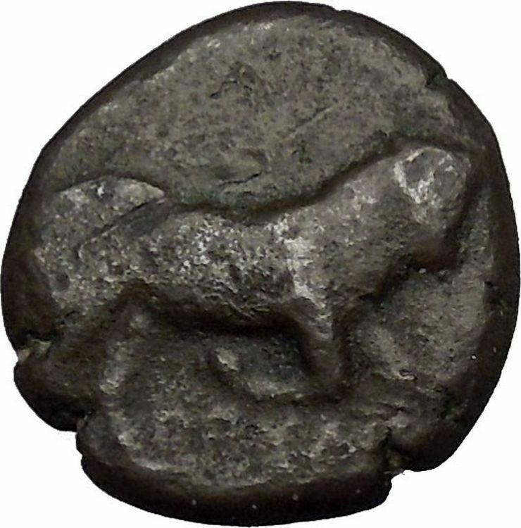 ARPI in APULIA 300BC Bull Horse RARE Genuine Authentic Ancient Greek Coin i52405