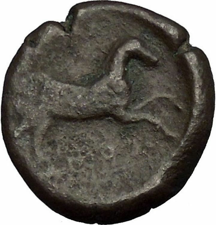 ARPI in APULIA 300BC Bull Horse RARE Genuine Authentic Ancient Greek Coin i52405