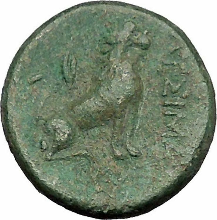 LYSIMACHEIA in THRACE 309BC Tyche Lion Grain Ear RARE Ancient Greek Coin i51087