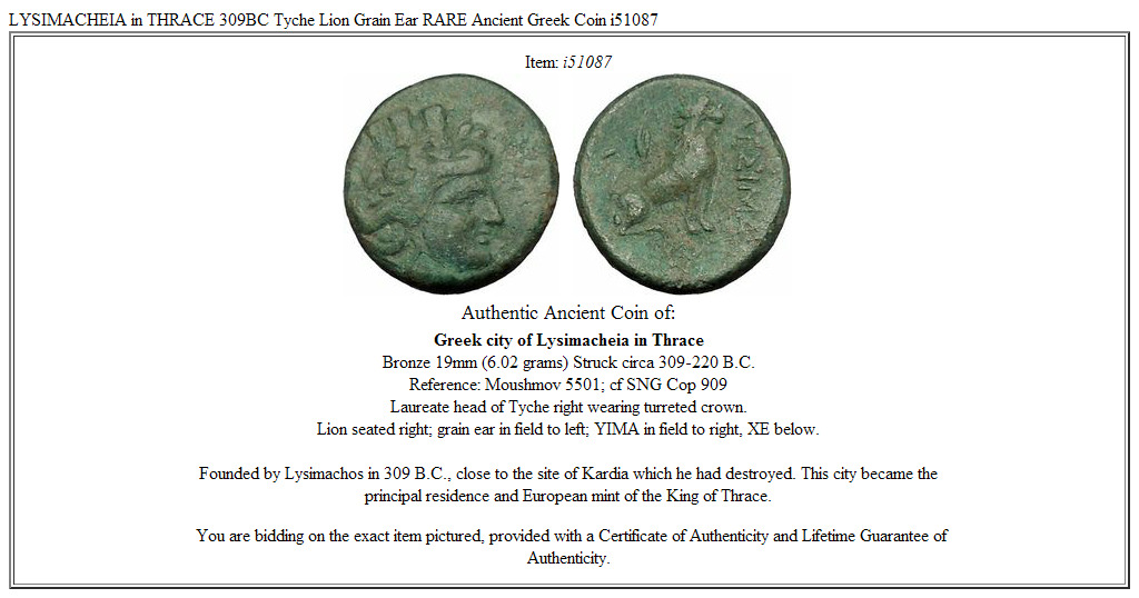 LYSIMACHEIA in THRACE 309BC Tyche Lion Grain Ear RARE Ancient Greek Coin i51087