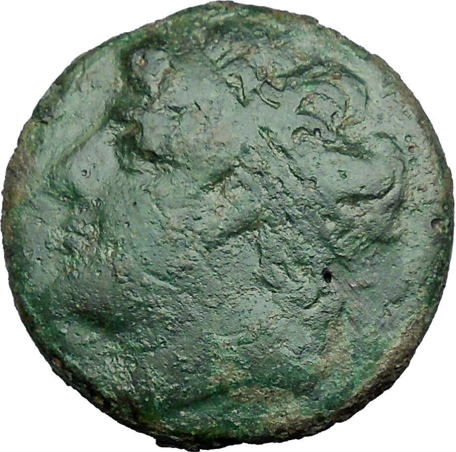 Syracuse in Sicily 240BC King Hieron II Horseman Large Ancient Greek Coin i33809