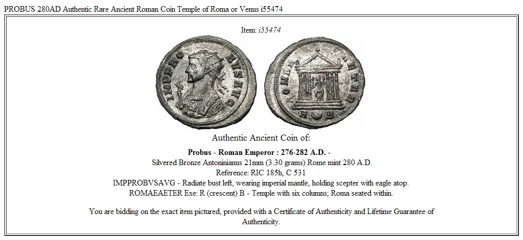 PROBUS 280AD Authentic Rare Ancient Roman Coin Temple of Roma or Venus i55474