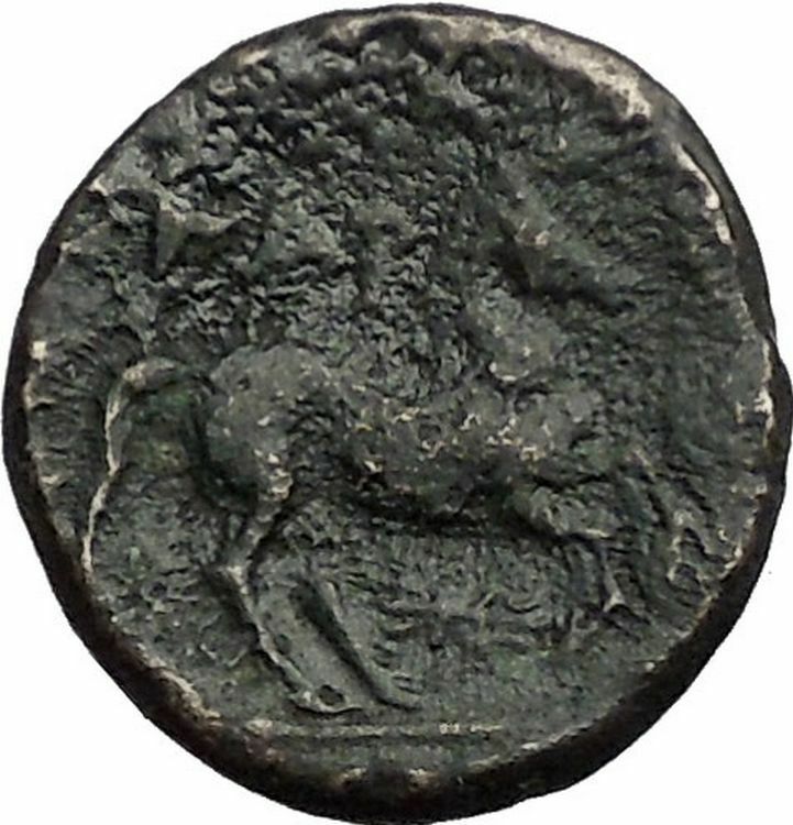 GARGARA in TROAS 350BC Apollo Horse RARE Big Authentic Ancient Greek Coin i56091