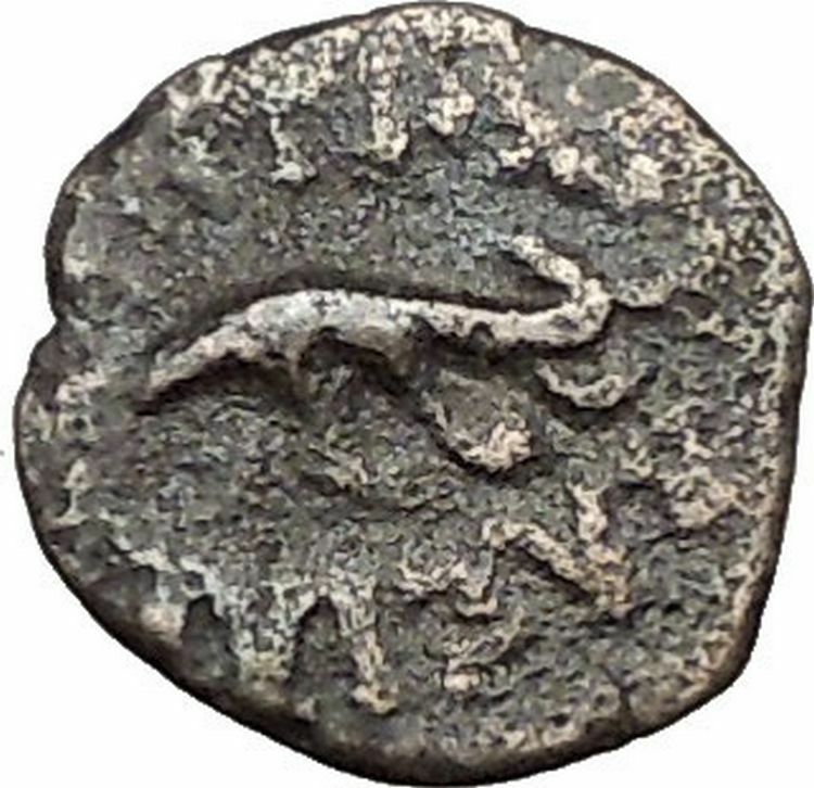 ANTIOCHOS VII Sidetes 138BC Ascalon Ancient ISRAEL Seleukid Greek Coin i56218