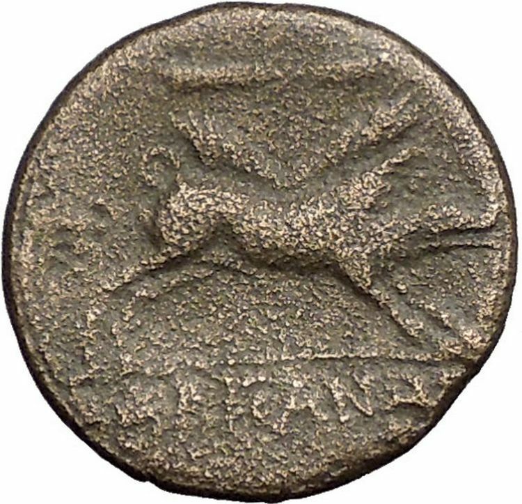 ARPI in APULIA 325BC Zeus Kalydonian Boar PIG Spear Ancient Greek Coin i57541