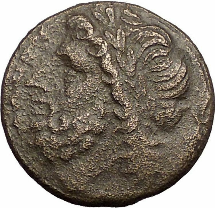 ARPI in APULIA 325BC Zeus Kalydonian Boar PIG Spear Ancient Greek Coin i57541