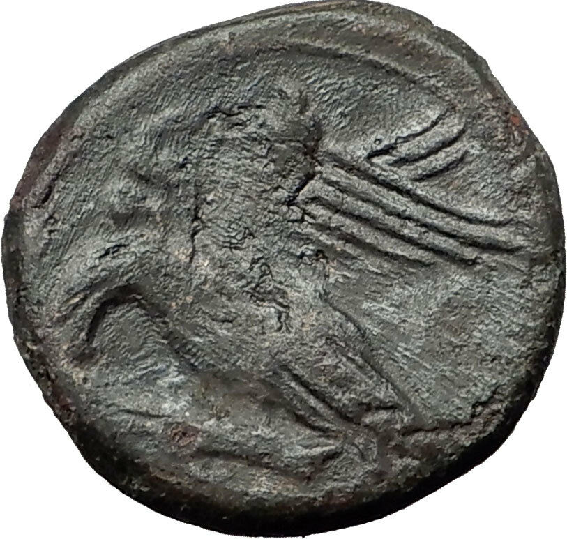 AKRAGAS in SICILY 287BC Ancient Greek Coin Phintias Zeus Eagles Rabbit i58765