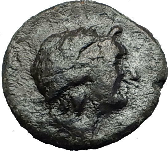 KATANE in SICILY 339BC Apollo Aphrodite Dove RARE R1 Ancient Greek Coin i58446