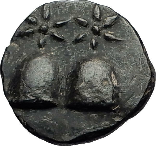 DIOSKOURIAS in KOLCHIS 105BC Mithradates VI Time Greek Coin GEMINI Hats i58396