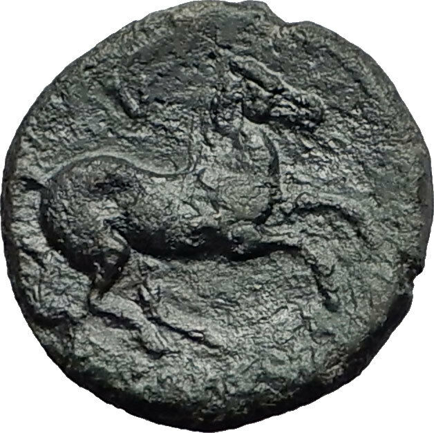 SYRACUSE SICILY 269BC Hieron II Apollo Horse RARE R1 Ancient Greek Coin i58437