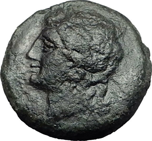 SYRACUSE SICILY 269BC Hieron II Apollo Horse RARE R1 Ancient Greek Coin i58437