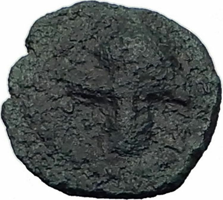 ANTIOCHOS VII Sidetes RARE R1 Ascalon Ancient ISRAEL Seleukid Greek Coin i64125