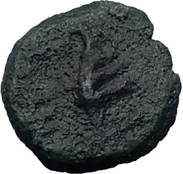 ANTIOCHOS VII Sidetes RARE R1 Ascalon Ancient ISRAEL Seleukid Greek Coin i64125