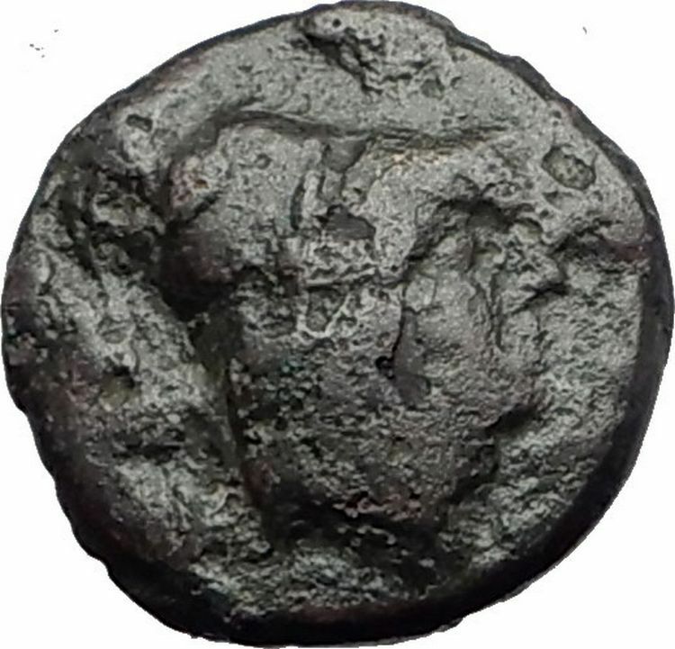 KALLATIS in MOESIA 200BC Authentic Ancient Greek Coin ATHENA CLUB i63740