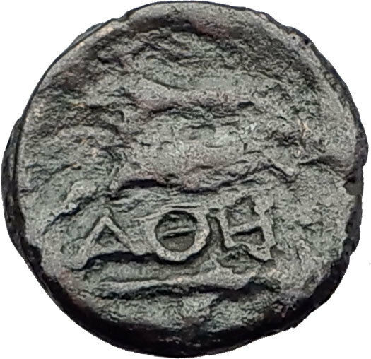 KALLATIS in MOESIA 200BC Authentic Ancient Greek Coin ATHENA CLUB i63740