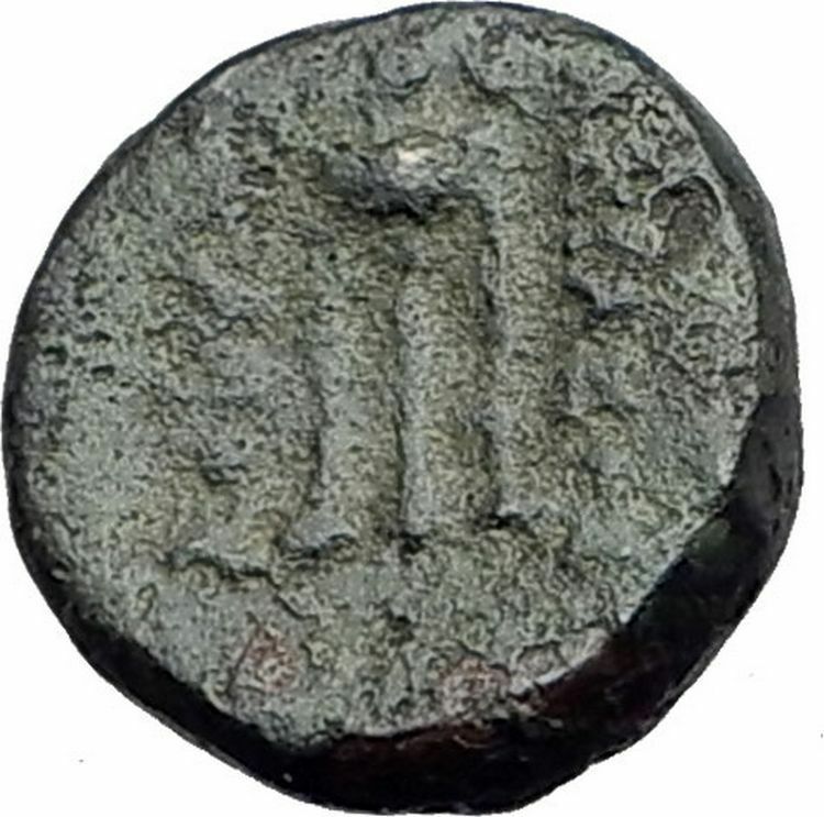 ACHAIOS Rebel SELEUKID King 220BC RARE R2 - R3 Ancient Greek Coin Apollo i63746