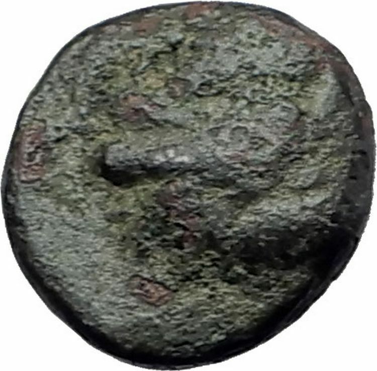 ACHAIOS Rebel SELEUKID King 220BC RARE R2 - R3 Ancient Greek Coin Apollo i63746