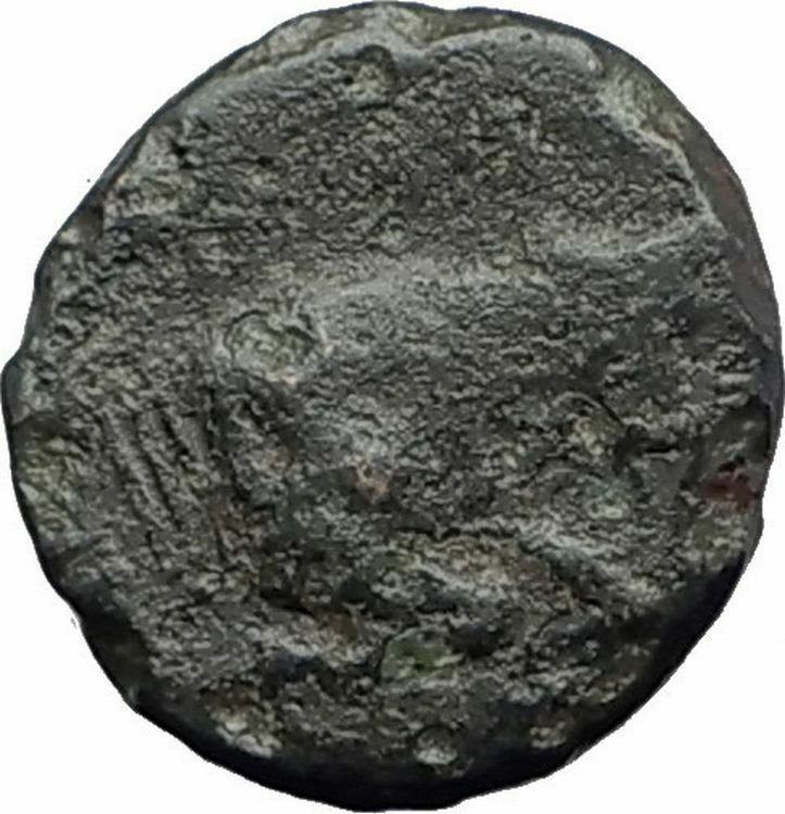 Magnesia ad Maeandrum in Ionia 300BC Apollo Bull Ancient Greek Coin i63727