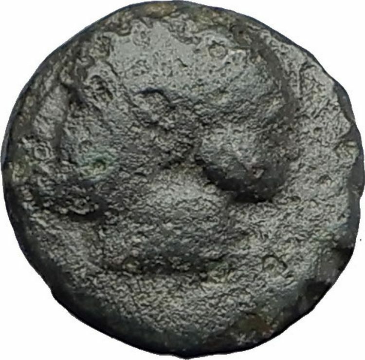 Magnesia ad Maeandrum in Ionia 300BC Apollo Bull Ancient Greek Coin i63727