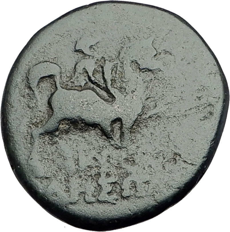 ODESSOS in THRACE 270BC Ancient Greek Coin GREAT GOD Derzelas on HORSE i64629