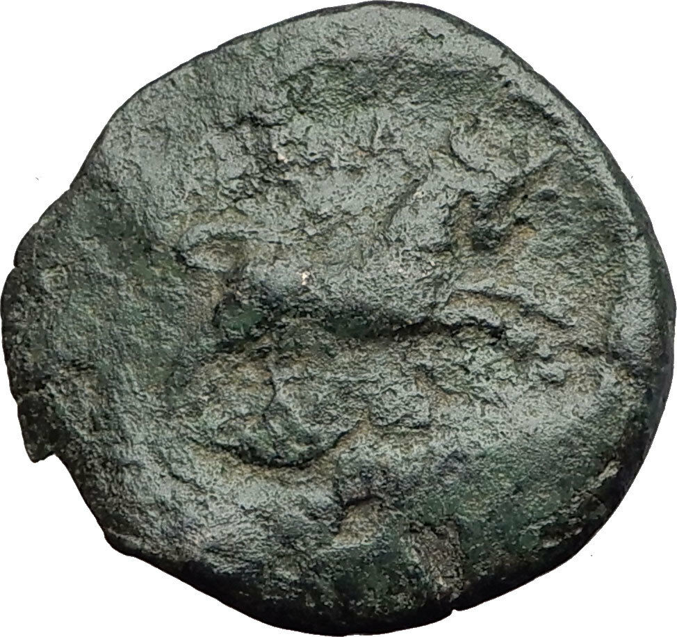 THESSALONICA in Macedonia 1stCenBC Authentic Ancient Greek Coin ZEUS BULL i63784