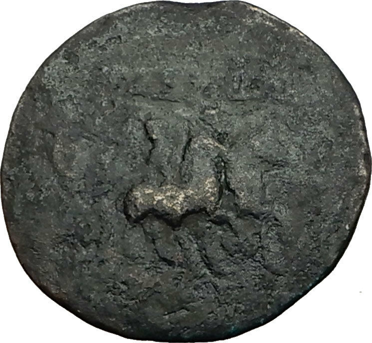 SELEUKOS III Keranous 225BC Seleukid RARE R2 Ancient Greek Coin DIOSCURI i65511