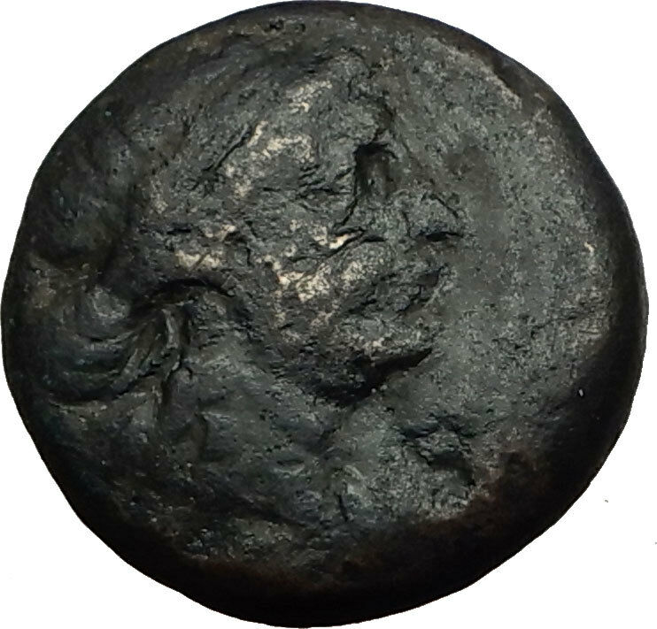 SELEUKOS III Keranous 225BC Seleukid RARE R2 Ancient Greek Coin DIOSCURI i65511