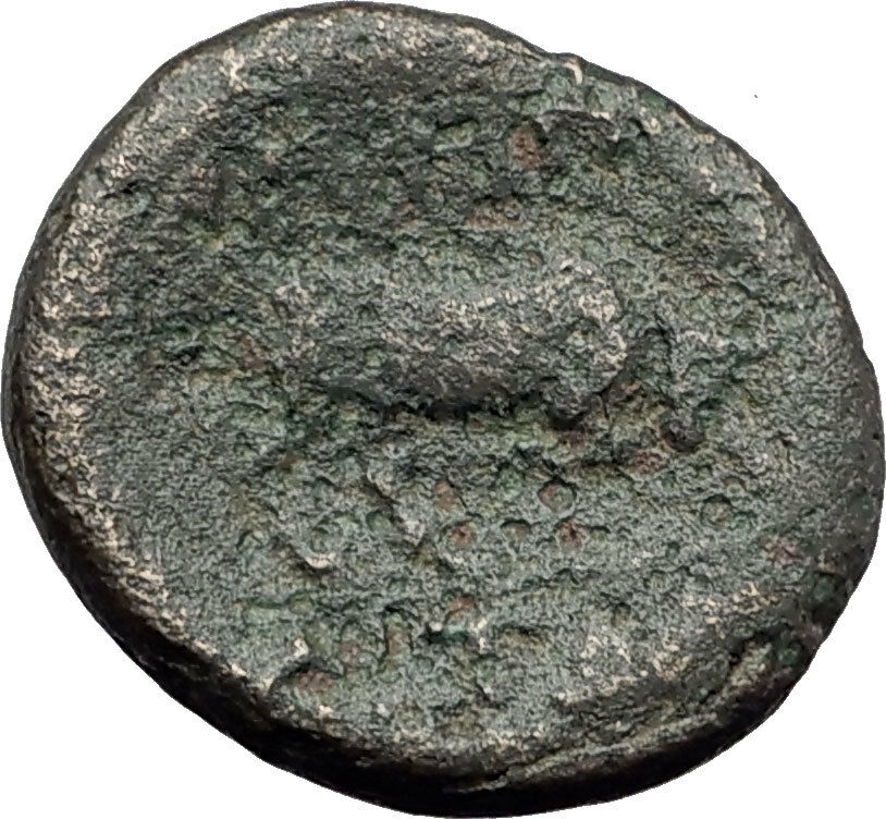 AMPHIPOLIS in MACEDONIA 148BC Rare R2 Ancient Greek Coin ARTEMIS & BULL i63837