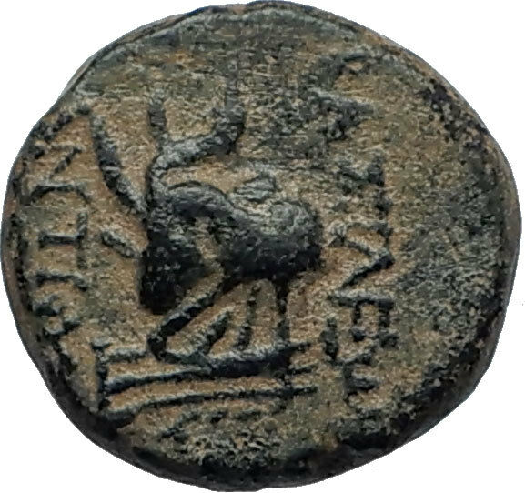 SELEUKOS IV Philopater 187BC Seleukid Ancient Greek Coin QUEEN LAODIKE IV i68005