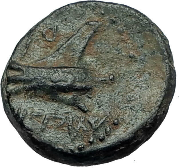 ARADOS in PHOENICIA Authentic Ancient 206BC Greek Coin w ZEUS & GALLEY i67991