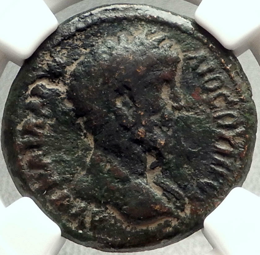 LUCIUS VERUS 161AD Hippos Decapolis Jerusalem Area Ancient Roman Coin NGC i68414