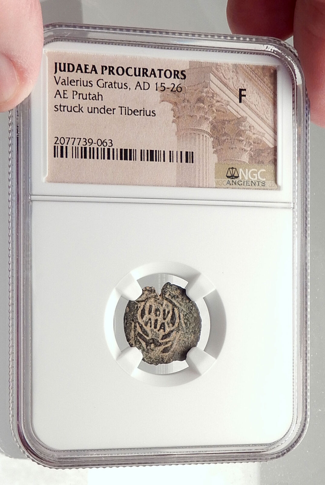 VALERIUS GRATUS Roman Jerusalem Prefect TIBERIUS LIVIA Biblical Coin NGC i70893