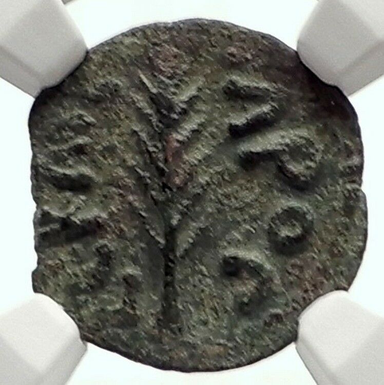 Biblical Jerusalem Saint Paul NERO PORCIUS FESTUS Ancient Roman Coin NGC i70944