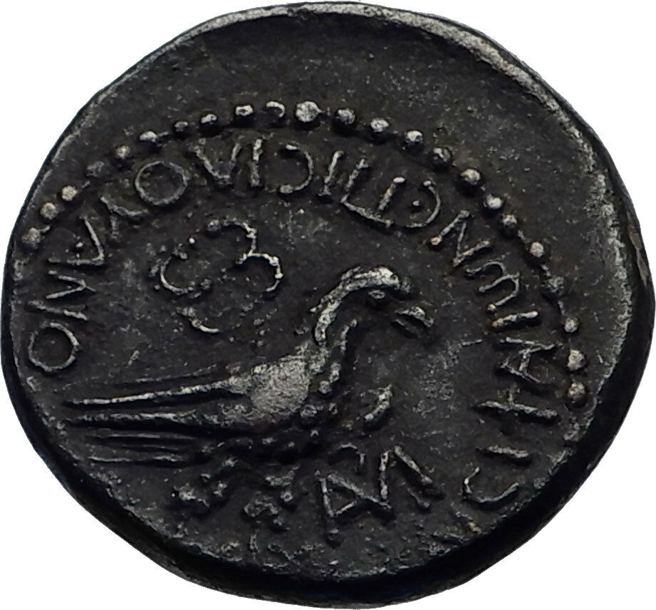 CALIGULA Very Rare 37AD Amorium Phrygia Original Ancient Roman Coin EAGLE i71200