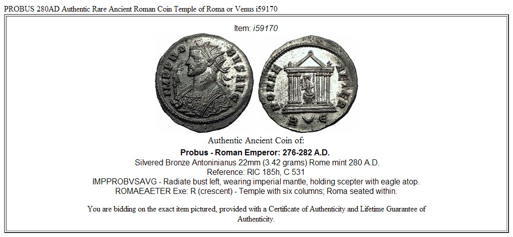 PROBUS 280AD Authentic Rare Ancient Roman Coin Temple of Roma or Venus i59170