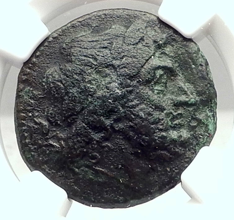 KENTORIPAE in SICILY Authentic Ancient 3-2ndCenBC Greek Coin ZEUS NGC i72882