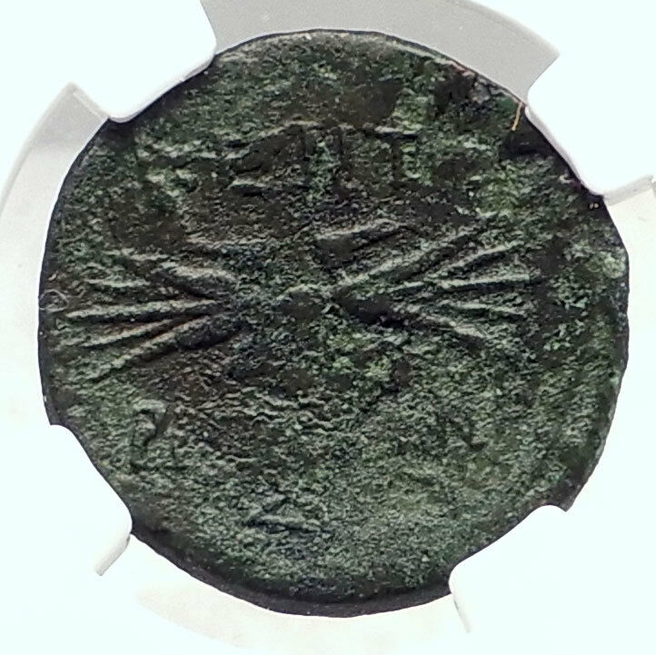 KENTORIPAE in SICILY Authentic Ancient 3-2ndCenBC Greek Coin ZEUS NGC i72882