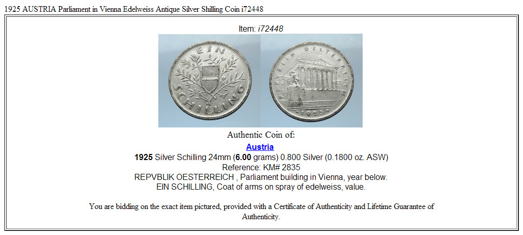 1925 AUSTRIA Parliament in Vienna Edelweiss Antique Silver Shilling Coin i72448