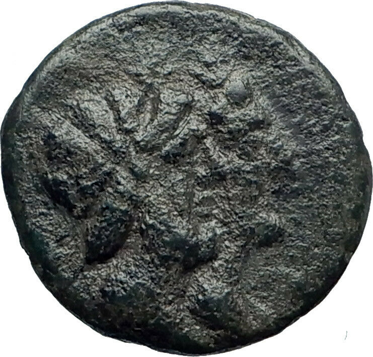 KATANE in SICILY 3rdCenBC Serapis Isis Apollo Original Ancient Greek Coin i43661