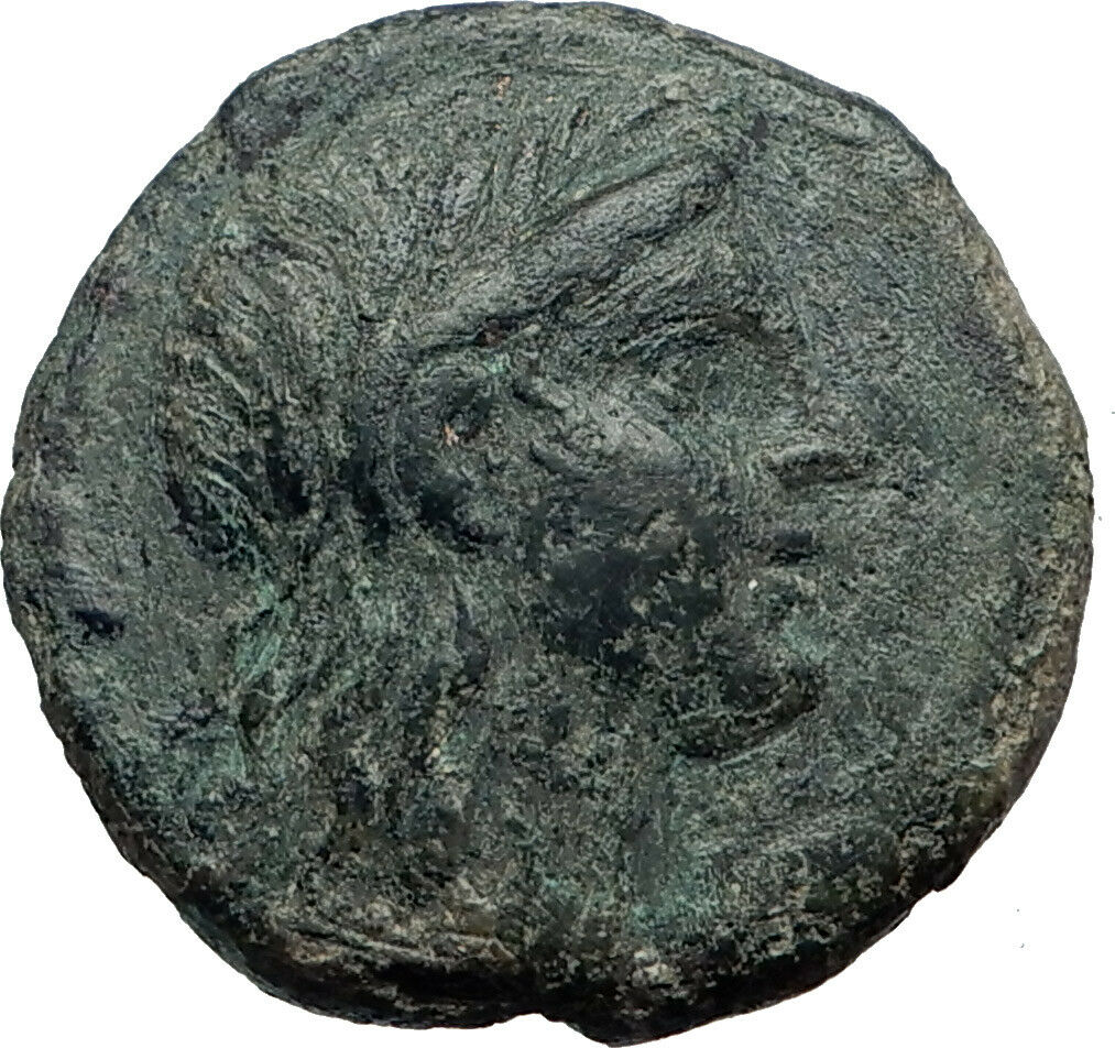 AKRAGAS in SICILY 246BC Apollo Warrior Authentic Ancient Greek Coin i43655