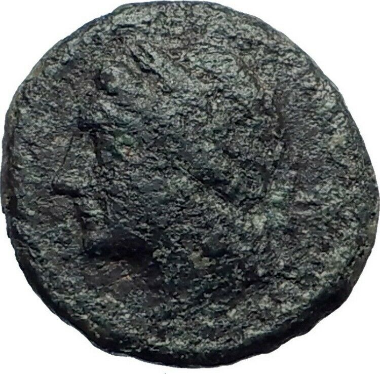 LEONTINI in SICILY 2ndCenBC Apollo Lion Authentic Ancient Greek Coin i43659