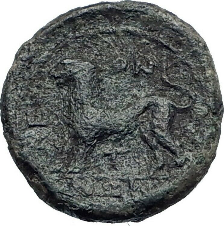 LEONTINI in SICILY 2ndCenBC Apollo Lion Authentic Ancient Greek Coin i43659