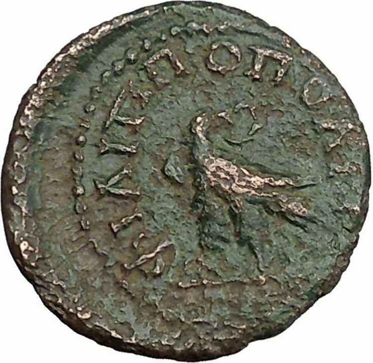 SEPTIMIUS SEVERUS 193AD Eagle of Rome & Jupiter Philippopolis Roman Coin i45239