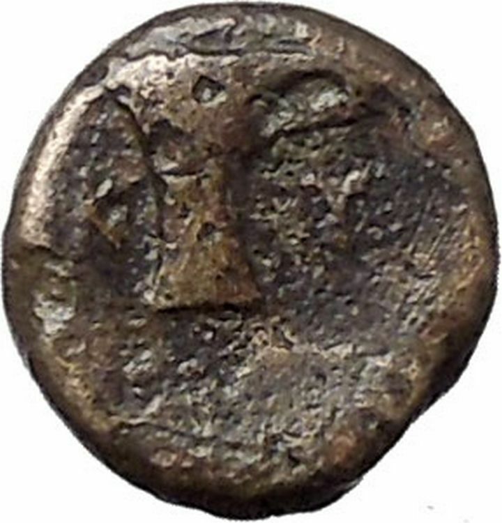 Kyme in Aeolis 350BC EAGLE & VASE on Authentic Ancient Greek Coin i48595